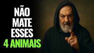 PADRE PIO REVELOU: 4 ANIMAIS QUE O CRISTÃO NÃO DEVE MATAR