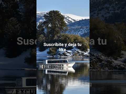 Villa Pehuenia Neuquén