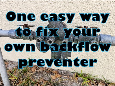 Easy backflow preventer leak repair!