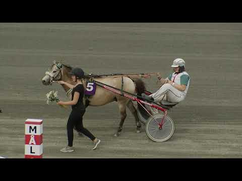 2020-07-19 Lopp 8, Ponnytrav