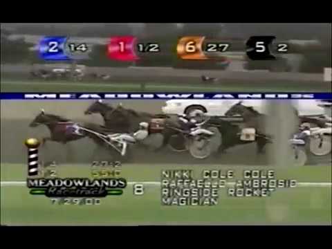 2000 Meadowlands MAGICIAN Breeders Crown Open Trot Dave Miller