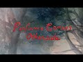 Perfume Genius - Otherside (Official Lyric Video)