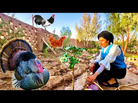 Village Life In Iran Mountains Far FromCivilization | Storing Like Villagers