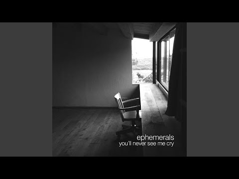 You'll Never See Me Cry (Ambassadeurs Remix)