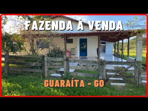 Fazenda à Venda em Goiás de 50 Alq. em Guaraíta GO [🌱DUPLA APTIDÃO]  [🐄Gado Soja🌱] #fazendaavenda