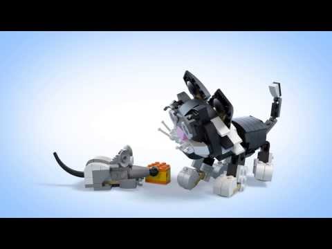 Vidéo LEGO Creator 31021 : Mes animaux de compagnie