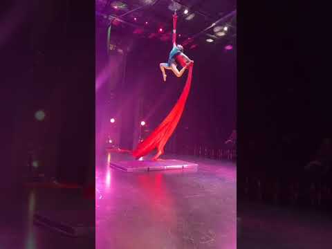 Promotional video thumbnail 4 for Aerial Artist