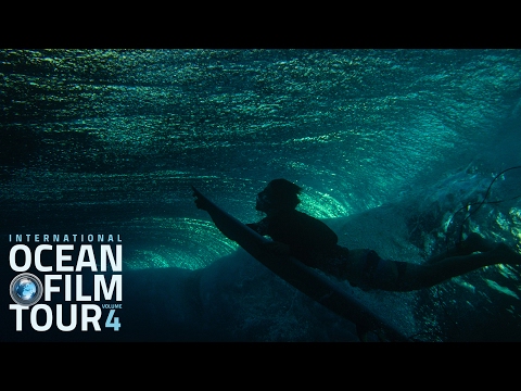 International OCEAN FILM TOUR Volume 4 | Official Trailer