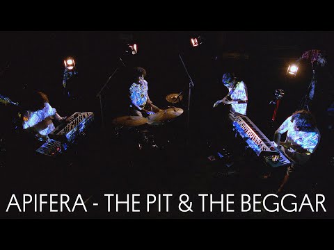 Apifera - The Pit & The Beggar (Live)