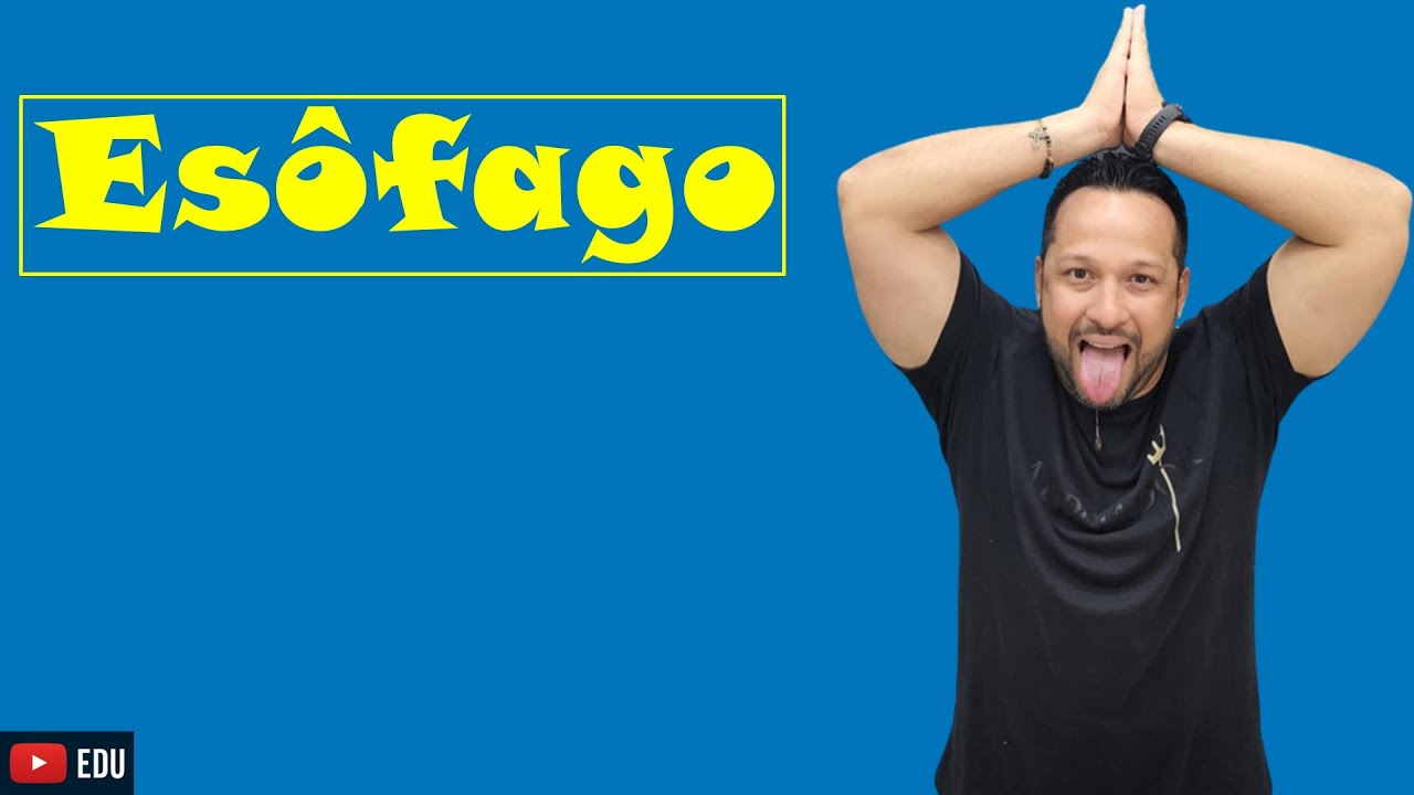 Esôfago - Características e Funções - Sistema Digestório - Fisiologia Humana - Aula 7