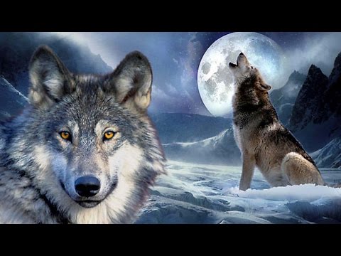 Psychedelic Trance Mix 2017 - ♫  The Birth Of The Wolf ♫