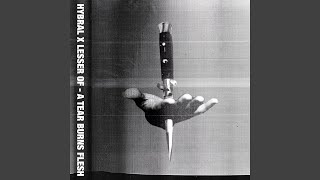 Polish Stonewall (Angel Karel Remix)