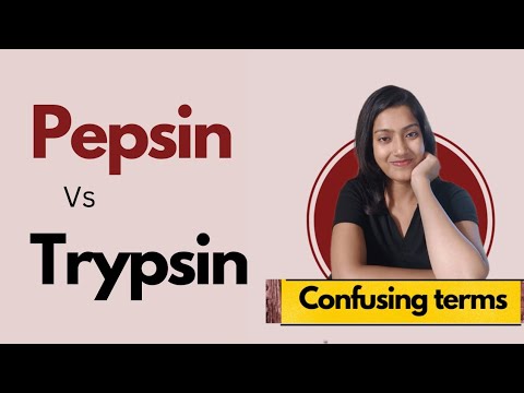 Trypsin ip bromelain rutoside trihydrate bp diclofenac sodiu...