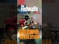 COLORFUL REVOLUTION #indierock #indiebands #rhythmandblues #altmusic #theredwalls #redwallsband