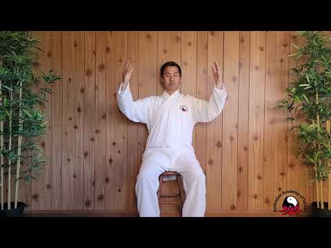 Seated Tai Chi Exercises Master Aaron Khor