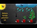 1. Sınıf  Hayat Bilgisi Dersi  Çevremizdeki Bitkiler Uzaktan Eğitimde Kalite Herkes için eşit eğitim. konu anlatım videosunu izle