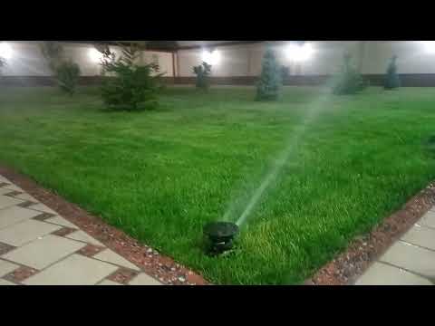 gazon ekish xizmati #master#tiktok #trend #youtubeshorts