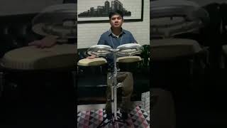 Download lagu Pearl travel Congas & LP compact bongos mp3