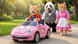🐱♻️ From Kindness to Reward: Mama Cat & Kitten Return Panda’s Lost Wallet 💖🚗✨