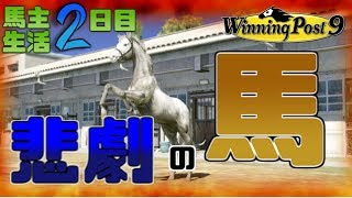 【ウィニングポスト9】馬好き小僧の馬主生活2日目