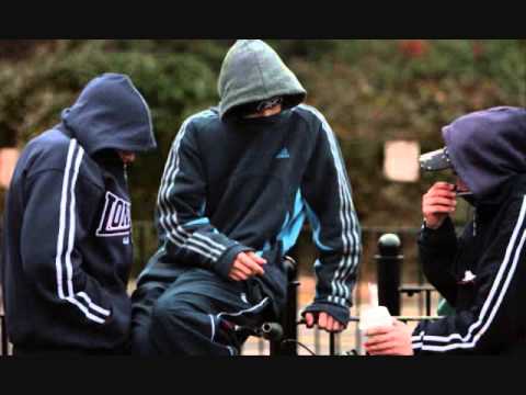 Kojot- Pravi prepoznaće prave