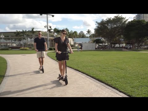 Palm Beach Florida - Things to Do & Attractions