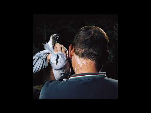 W/CYA — Groove Seekers [AMY001]