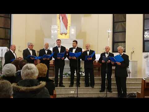 Ča more biti - Karlovački vokalni oktet