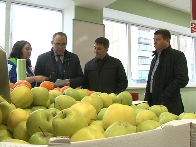 Мониторинг нурлатских магазинов