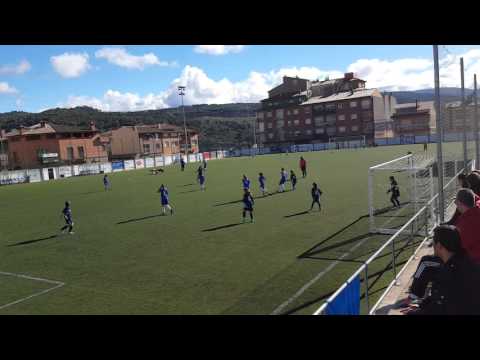 Alevin Seagull Badalona