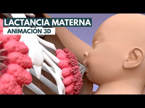 , title : 'Lactancia materna | Animación 3D'