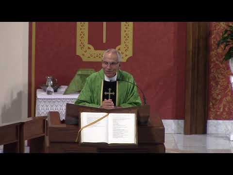 Fifteenth Sunday in Ordinary Time (Year C) - Fr. Hahn