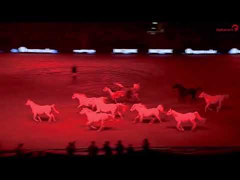 STUTTGART GERMAN MASTERS 2022 - HULG Marbach / Silberne Herde