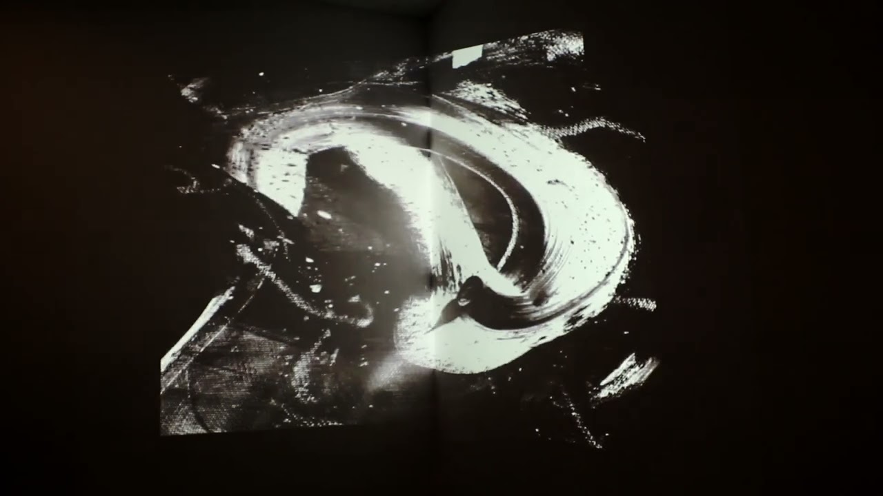 A Level Fine Art Final Piece Exhibition Trailer