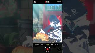 【個人勢vtuber】道端に猫いた！ - 結城ミチル #varkshorts #shorts