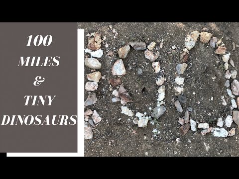 How to Section Hike the PCT - Ep: 7  Ranchita to Warner Springs