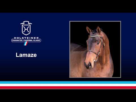Lamaze v. Lasino - Corrado I | 2018
