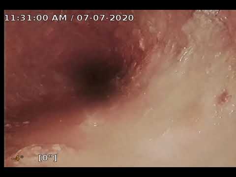 24 Cross St - Somerville