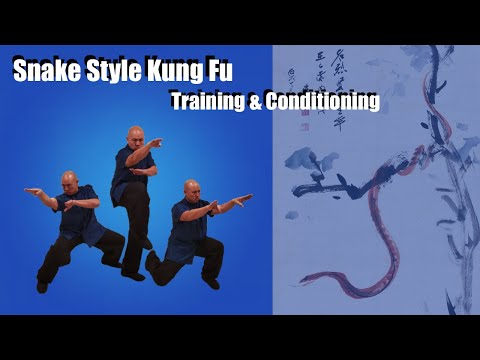 Snake Style Kung Fu - Training, Conditioning, and Secrets