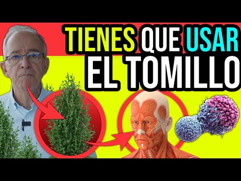 NECESITAS COMER TOMILLO y Disfrutar Estos BENEFICIOS INCREIBLES - Oswaldo Restrepo RSC