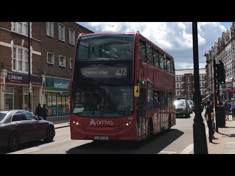 Bus Journey | Arriva London ADL Enviro400 T265 (LJ61LJL) | Route 102