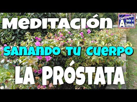 Prostata-Verkalkung Neostigmine für Prostata