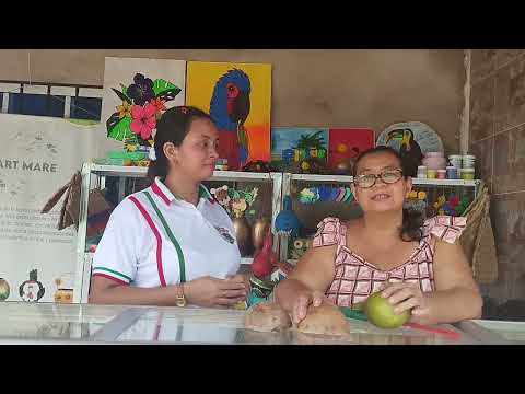 Elemento identitario: ARTESANÍAS CON TOTUMO Pijiño Del Carmen, Magdalena 