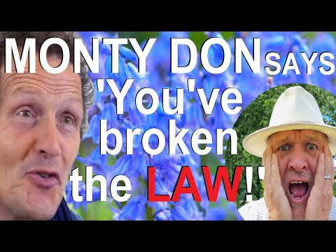 Monty Don says 'Gardeners are breaking the law with Spanish and English Bluebells'