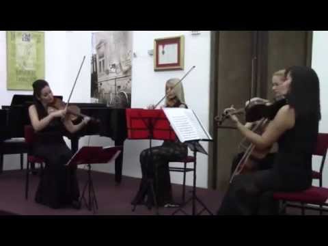 Johannes Brahms  - Hungarian dance no. 5 - Gudački kvartet MISS