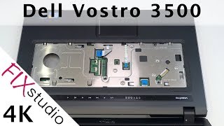 Dell Vostro 3500 - disassemble [4k]