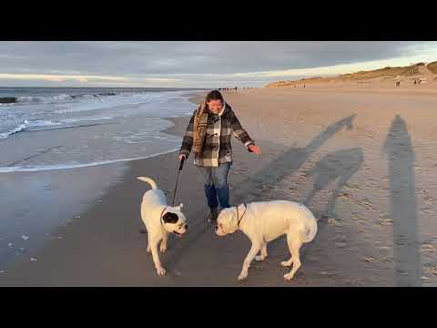 Sylt Januar 2021 Abendsonne