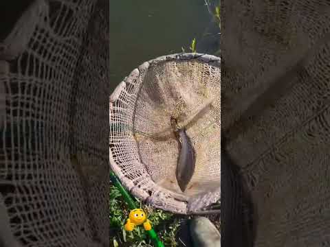 pescaria no lago do Santana Olimpio Noronha MG