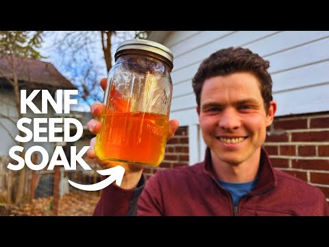 STEIGERN Sie die Keimung mit dieser einfachen KNF-Saatgutbehandlungslösung!