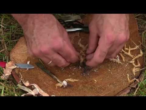 Wie findet man Zunder in der Natur? Tipps - Bushcraft, Survival,  Fire Steel | Wanderfalke